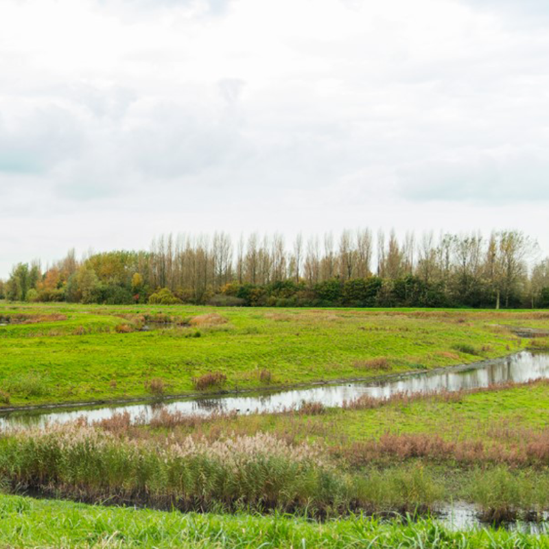 IMG_8279-FINAL-alleen-groen.png