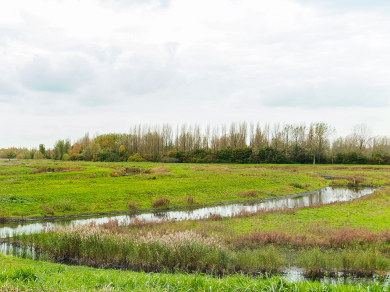 IMG_8279-FINAL-alleen-groen.png