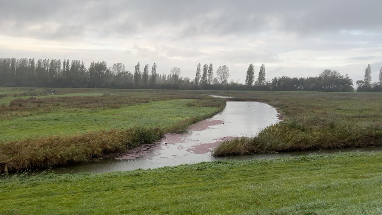 Stukje Koopmanspolder